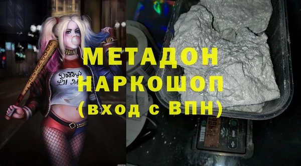 хмурый Аркадак